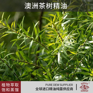 �Ĵ������a�^���޲�侫�ͷ�����Ħ��������Ժ�o��������޹����