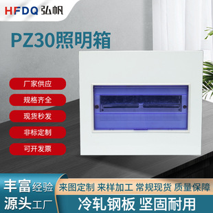 Pz30 Strong Power Box Indoor Lighting Surface-Mounted Distribution Box Concealed Household 20 Circuit Air Switch Box Leakage Protection