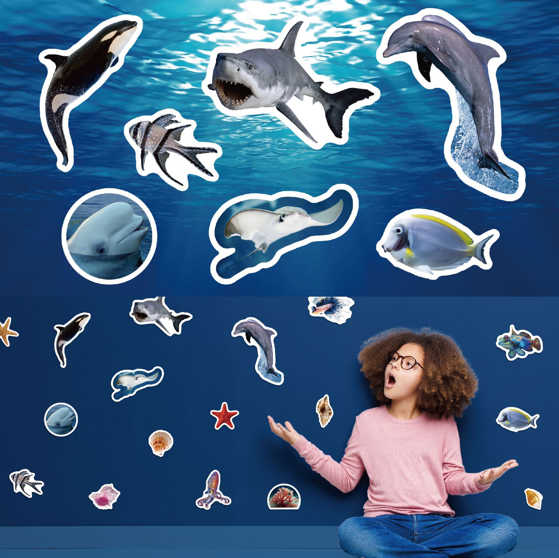 B049海洋生物5