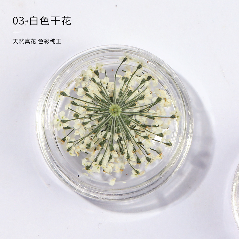 화이트 레이스 플라워 (3 박스)