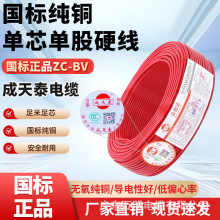 ����̩����ZC-BV��|�����ù���1/6/10ƽ��������ȼ�ιɆ�оӲ��