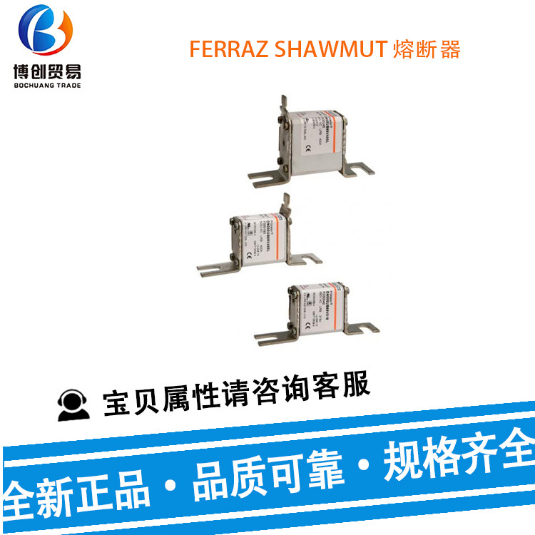 供应FERRAZ SHAWMUT 熔断器 FSPDB2A低压熔断器 及配件