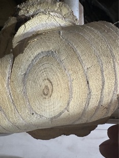 ���l���� &nbsp;Ұ���� �۸��� ����� ��l ������ �y���ٴ�ĥ��