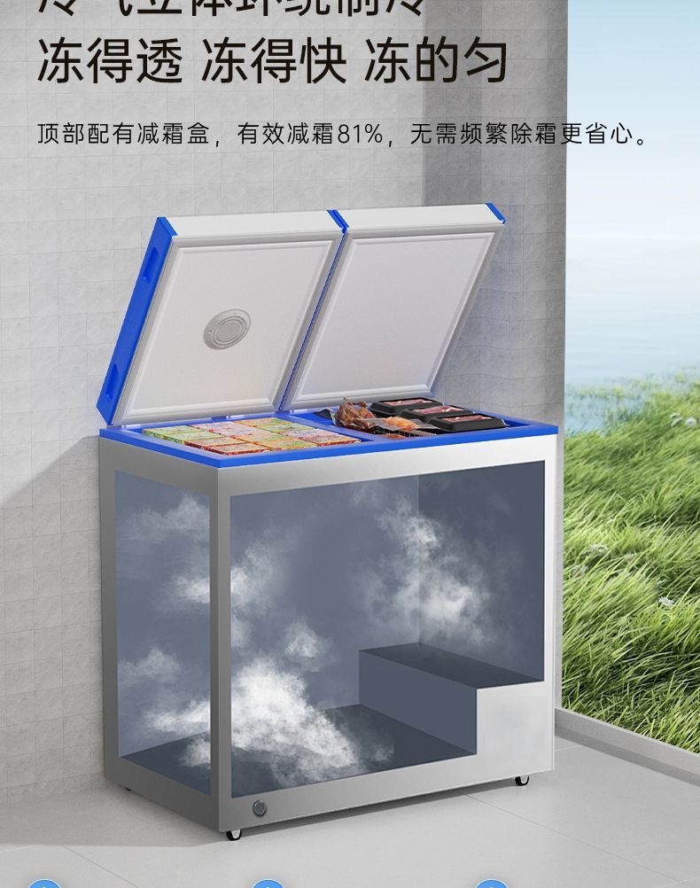Dual-Temperature Dual-Door Freezer, Large-Capacity Household Dual-Use Freezer, Smart Freezer, First-Class Energy-Saving Car Refrigerator