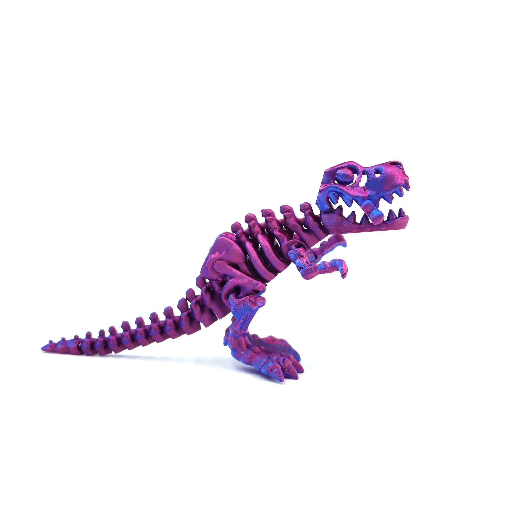 12.5CM 공룡/레이저 퍼플