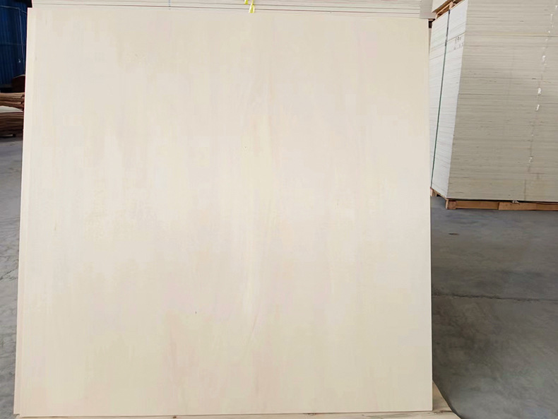 8fd1a80c-9312-4275-a209-143368