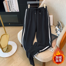 300斤特大码女装胖mm休闲宽松加绒休闲裤2024秋冬新款束脚运动裤