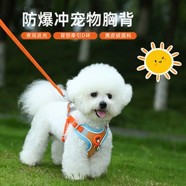 狗狗服装;狗狗牵引;狗狗食具