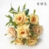 Champagne color