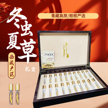 ���x�ĲݶY�����l���ظߺ��ζ��x�Ĳ�20���������b�^���ͶY�x��