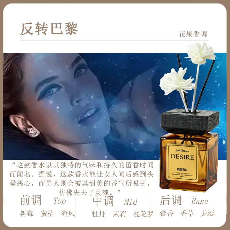 리버설 파리 [빅 브랜드 같은 향수]