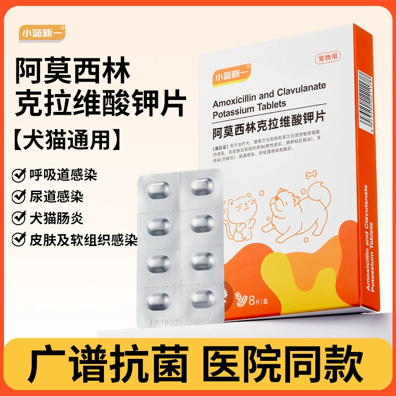 Амоксицилин и клавуланат калия для кошек, домашних животных и собак, чихающих, простуды и кашля, противовоспалительные таблетки Sino для заложенности носа у кошек.