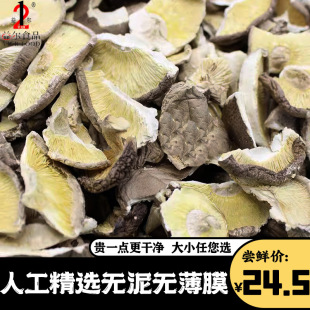 ��؛�o��ɳ�o����Ĥ���㹽��Ƭ�Ƀ��㹽���ð������ؕ���������l