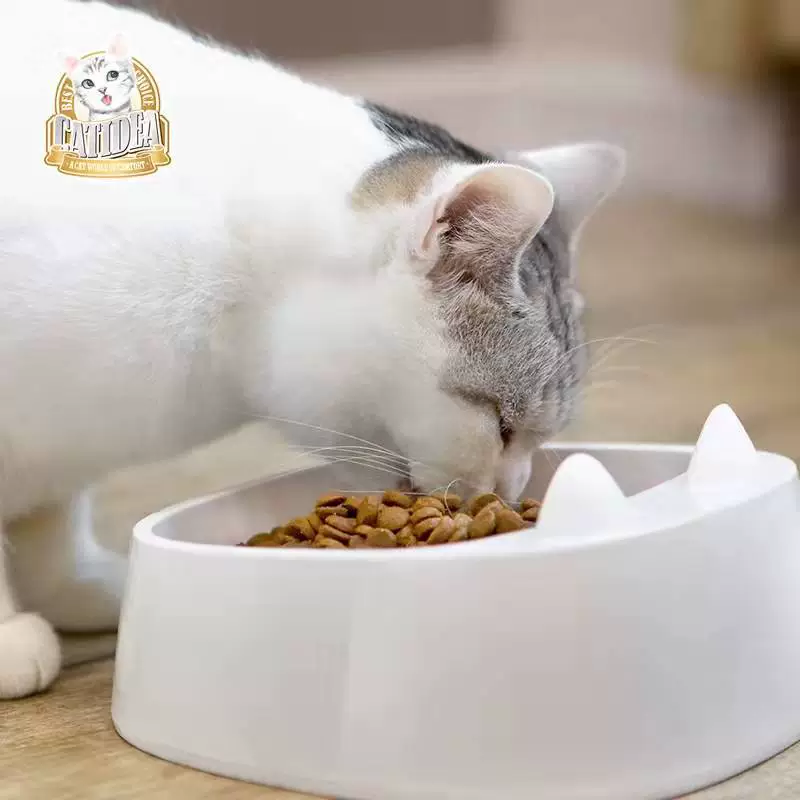 Кэтидейка кот музыка, уши кота, миска для кошек, креативная миска для еды и воды для животных, двойное использование