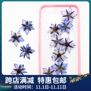 �����ĉ����ɻ� DIY�ֹ�ֲ��˱��̌WѺ�����z�֙C�������޹Ϟ�T