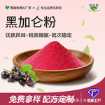 速溶黑加仑粉代餐固体饮料原料烘焙面点果蔬粉厂家批发