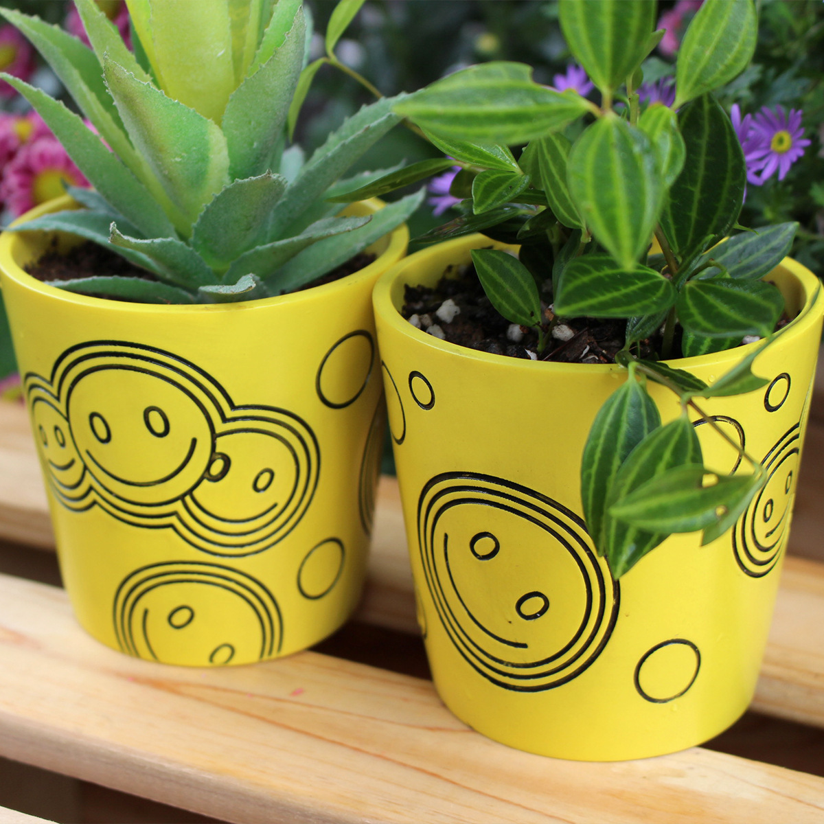  Hot Selling Simple Yellow Smiley Round Flower Pot with Drain Outfall Desktop Fleshy Potted Plant Fleshy Green Plant Flower Pot