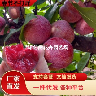 һ�����l�������Ә��������ļt�޽ӷ���������Ó�����������