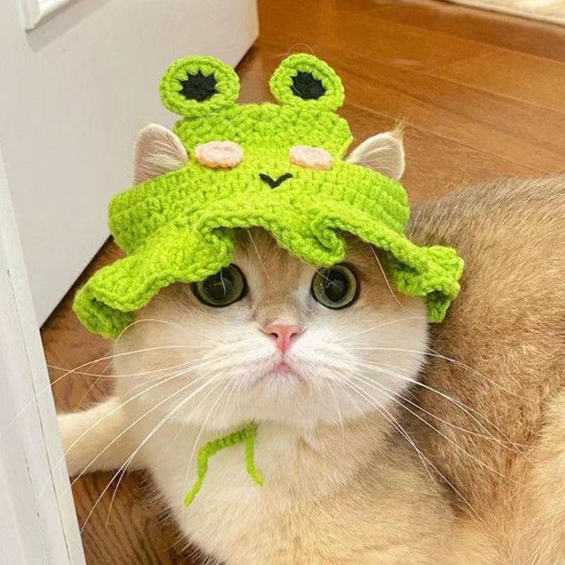 Cute Pet Hat 6