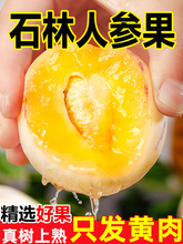 �����˲ι�ˮ��5������������ʯ��������������������Բ������