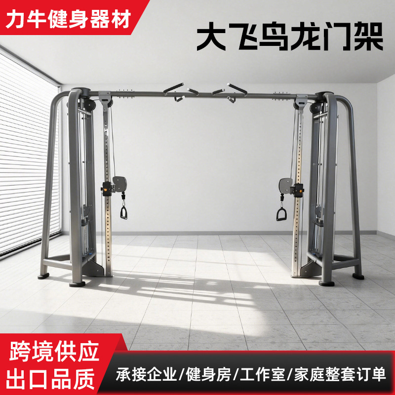Fitness Equipment: Multi-Functional Integrated Strength Training Machine, Fly-Over Machine, Cross Chest Press, and Gantry Rack Fitness Equipment: Multi-Functional Integrated Strength Training Machine, Fly-Over Machine, Cross Chest Press, and Gantry Rack