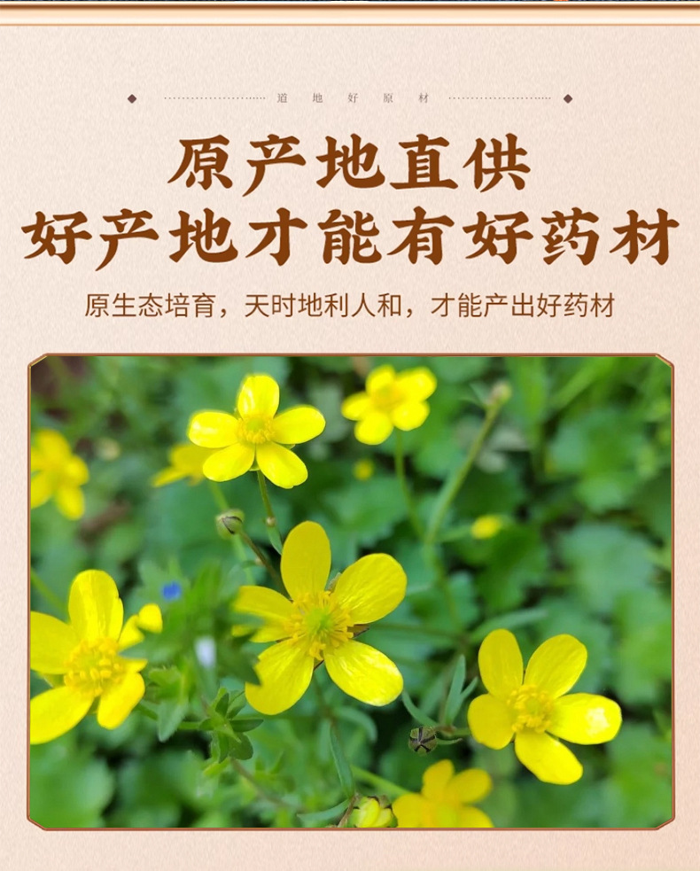 Cat's Claw Root Mao Zhao Cao Dried Herb 500g Washed New Crop Traditional Decoction Herb key features