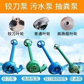 抽粪泵化粪池带无堵塞排污泵铰刀泥浆泵泵杆子养殖吸粪立杆污立式