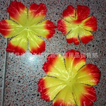��Ȧ���滨��23����ĵ����Ƭ ���᲼��Ȧ�Ƭ ��Ȧ��������