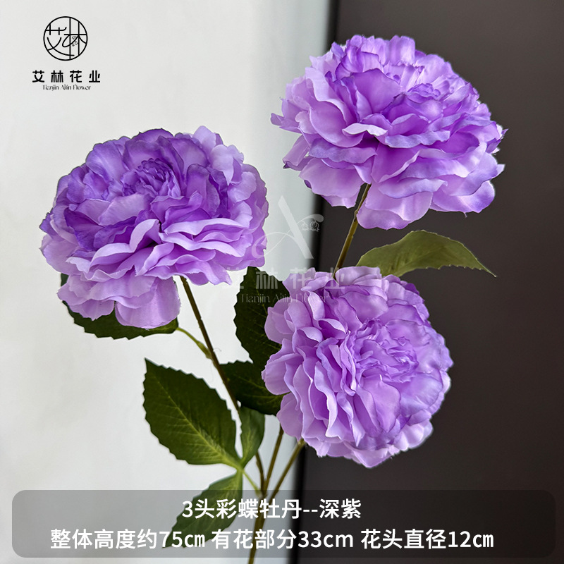 3 화려한 나비 모란 진한 보라색