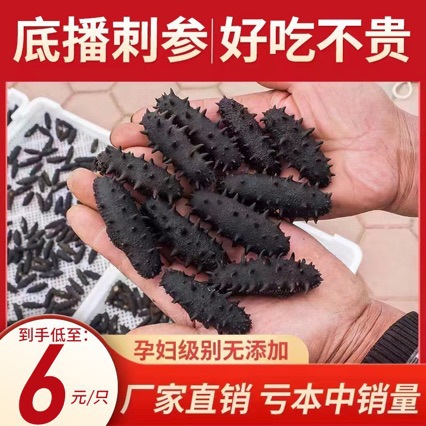 批发深海辽刺参散装家用礼盒可商用源头直供大连底播淡干海参干货