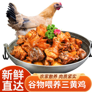 ���u���r���S�u��ĸ�u�F�����uͯ���u���u�ߵ��u���uһ�����l750g