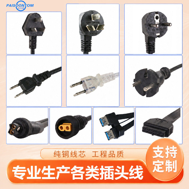 Customized Power Cord with Plug, 2-Pin and 3-Pin National Standard and American Standard Household Appliance Two-Prong Three-Hole Power Cord