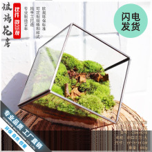 �B�T�S��ֱ�Nб������������͸������������̦�\΢���^���⻨��