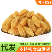 �½��S���Ѹ�500g ��؛�oɳ�����S���Ӹ���ʳ�����Ѹ�