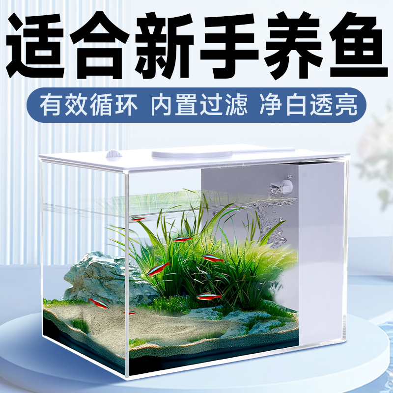 Acuario Ecológico de Escritorio con Filtro Externo e Iluminación para Sala de Estar