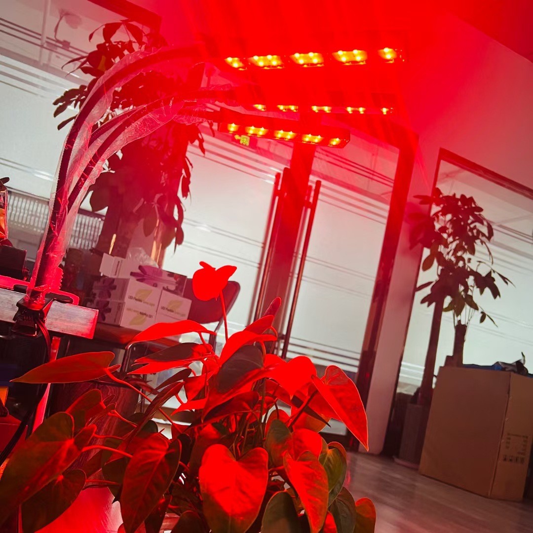 Luz de crecimiento de la planta LED multi-cabeza clip luz flor para colorear tiempo luz espectro completo suculenta Luz de relleno