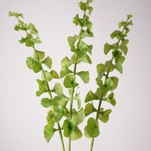 ��Ʒ�|����ؐ���� ؐ���� ؐ���~ �߶˘Ӱ��g��з��滨 ��Ʒ�~��