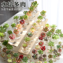 ˮ�����ֲ����w�M���ײ;Gֲ���������҃�����[�����Sһ�����l