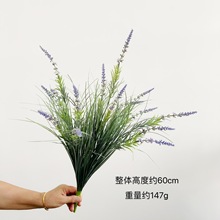 ��� �羳����޹�²ݴ������[�������ٻ��@ˇ�bٻ��S��ֱ�N