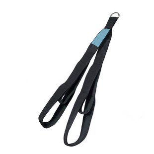 Home Fitness Equipment Portable High Pull-down Training Big Bird Ribbon Pull Rope Set Triceps Press-down