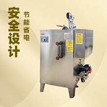 60kw100kg智能电加热蒸汽发生器橡塑电缆硫化电蒸汽机锅炉全自动