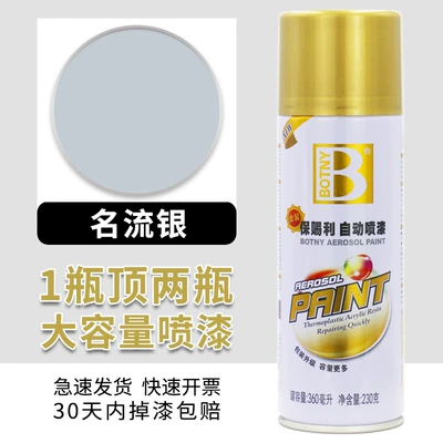 Avtomobil boyası – Bicycle Color-Changing Furniture Household Various - baocili-1680-celebrity-silver-450ml