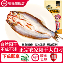 湖北特产大白刁鱼阳干刁子鱼干翘嘴腌制风干咸鱼干货白条腊鱼