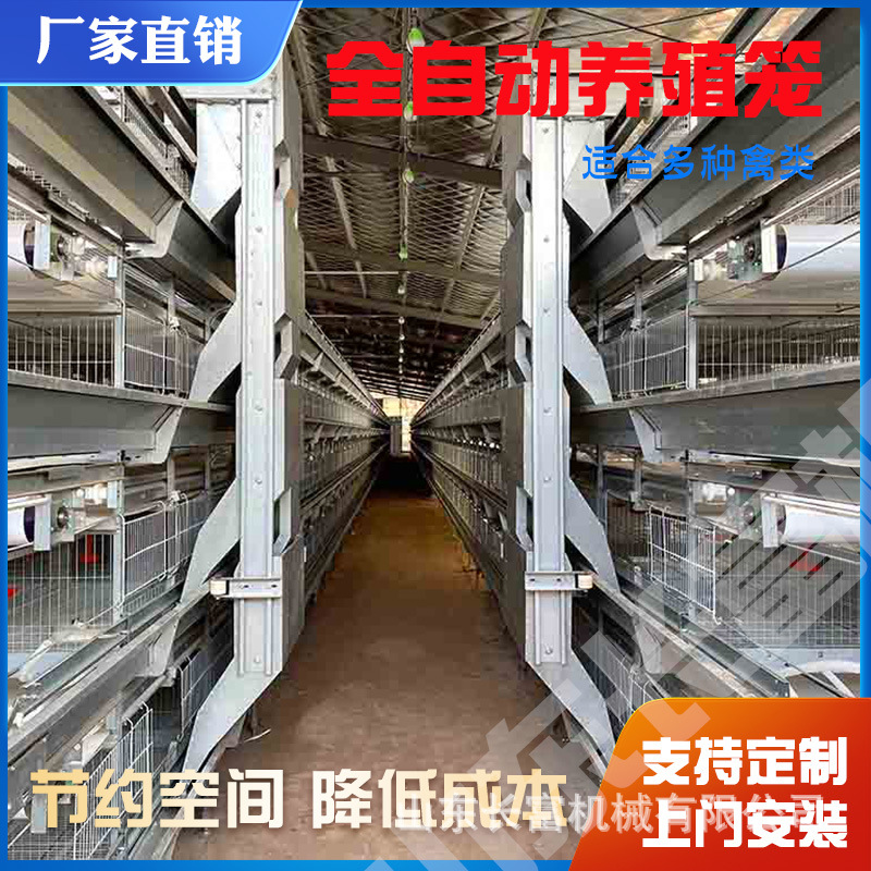鸽子笼肉鸡H型自动蛋鸡笼层叠式鹌鹑笼肉鸡A型鸡笼多层养殖笼鸡笼