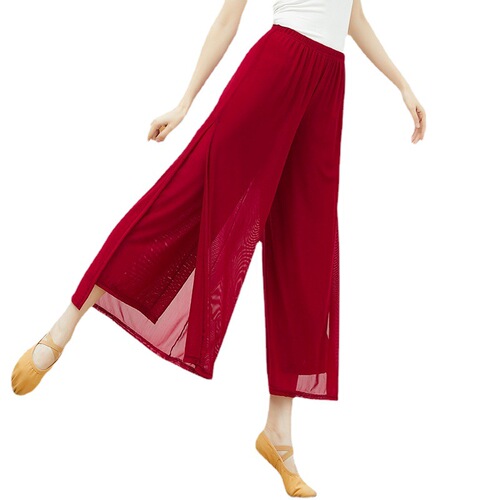 Classical dance practice pants for adult women with mesh body rhyme spring and summer new Chinese ancient style ethnic dance square elegant wide-leg pants