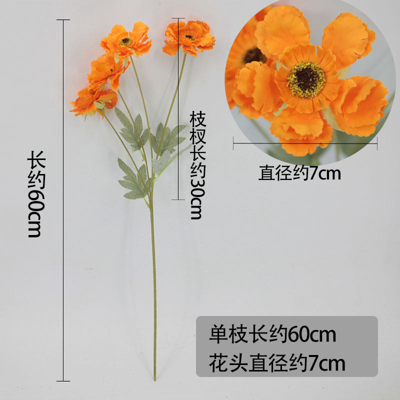 微信图片_20220530100624