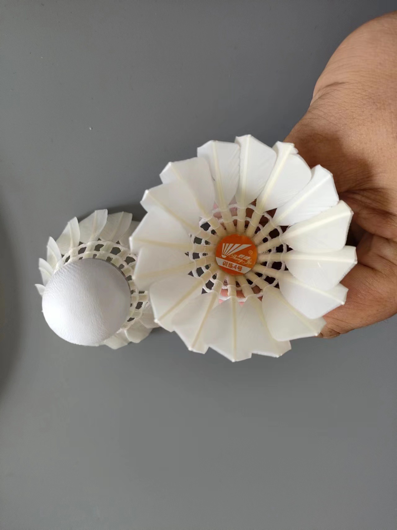 微信图片_20230706110043