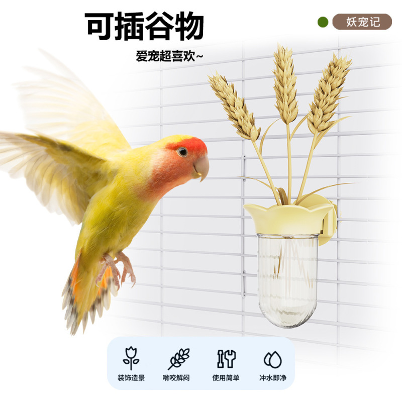 オウム、ユリ、水耕栽培ボトル、野菜、豆の苗、鮮度保持フィーダー、黒鳳、牡丹、虎皮、水貯蔵、水鳥用給餌用品|undefined
