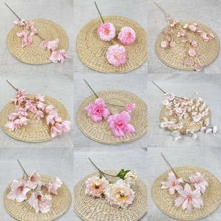 ��}̎�� ��ɫϵ ��c��Y�û���  ��픵��Ż�