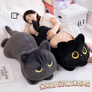 ��ͨ�����L�lſ��؈�乫��ë�q���Ů�����ϊA�ȱ������ჺͯ��ż